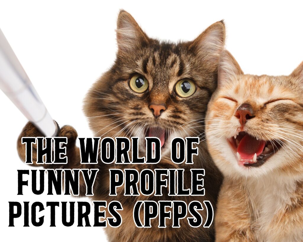 The World of Funny Profile Pictures (PFPs)