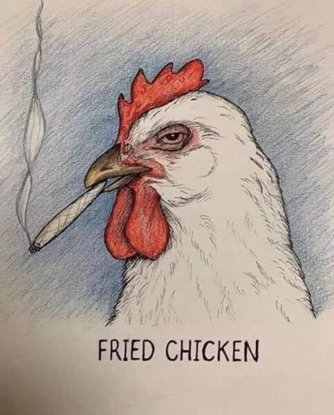 The High-Flying Fried Fiasco: When a Chicken Takes a Puff and Gets Fried