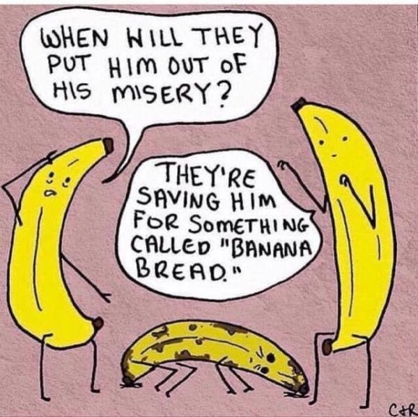 The Comical Conversation of Two Bananas: Aging and Bananabread Woes