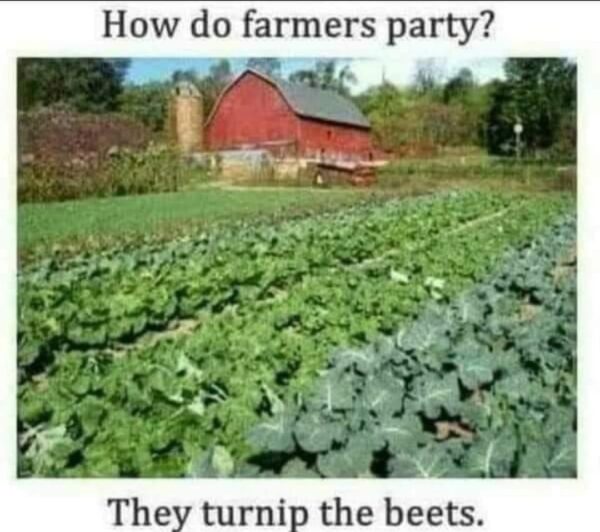 The Farmer&#8217;s Ultimate Guide to Partying: &#8220;Turnip&#8221; the Beets!